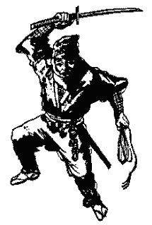 Martial art warrior - the beginning of self defense 